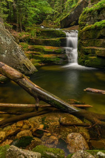 istock Jedlova creek in Jizerske mountains in spring morning 1402315148