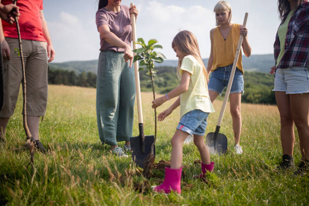 istock A smaller group of people plant a tree in nature. 1402320016