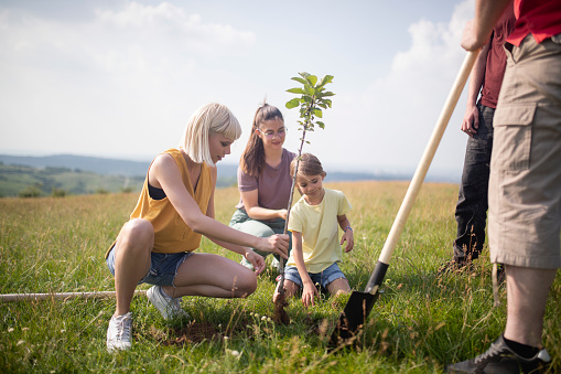 A small group of people with a little girl plant a tree in a meadow.