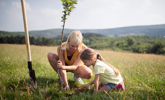 A blonde woman and her niece are digging the ground in a meadow to plant a tree.