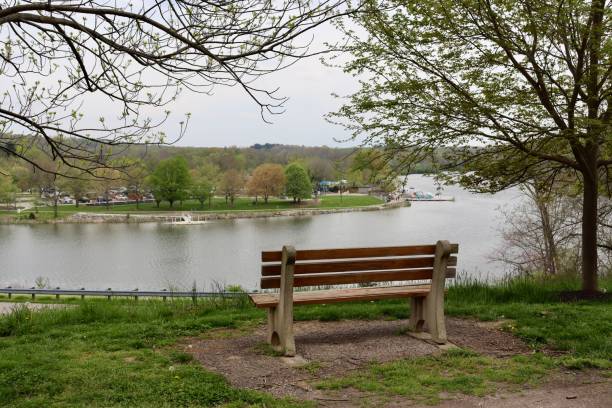 istock Bench with a View of the Lake 1402320698