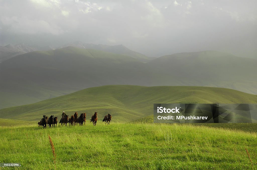 Vita tradizionale dell'asia centrale persone - Foto stock royalty-free di Distante