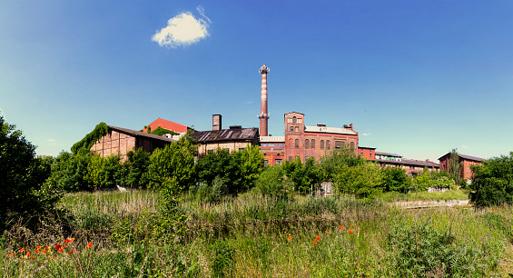 Beautiful summer English countryside. Old abandoned ruined factory and blooming green field