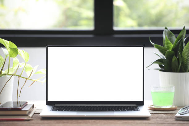 istock Laptop with white screen and indoor plants work from home set up 1402328214