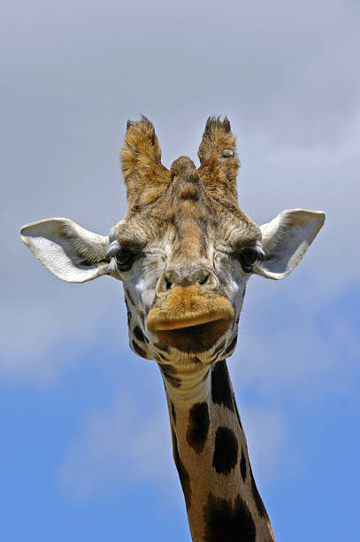 Who\\'re YOU lookin\\' at?