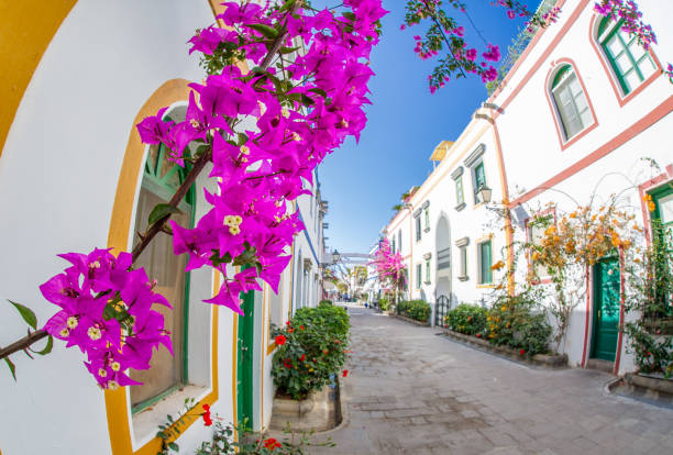 istock PUERTO DE MOGAN Gran Canary Spain 1402329461