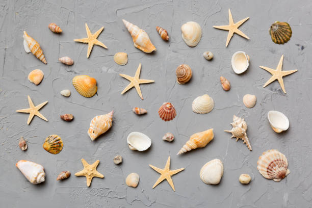 istock Summer time concept Flat lay composition with beautiful starfish and sea shells on colored table, top view 1402331078