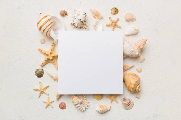 istock Summer time concept with blank greeting card and blank white paper on colored background. Seashells from ocean shore in the shape of frame separated with space for text top view 1402331109