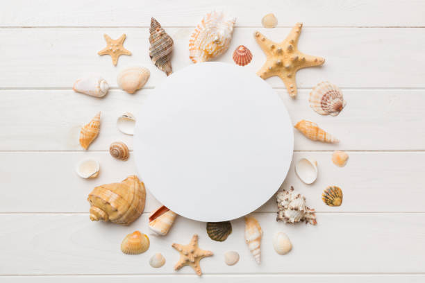 istock Summer time concept with blank greeting card and blank white paper on colored background. Seashells from ocean shore in the shape of frame separated with space for text top view 1402331111