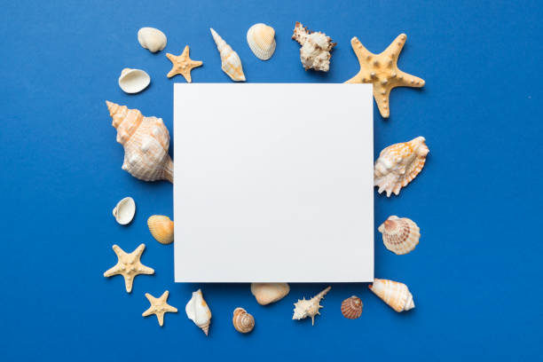 istock Summer time concept with blank greeting card and blank white paper on colored background. Seashells from ocean shore in the shape of frame separated with space for text top view 1402331117