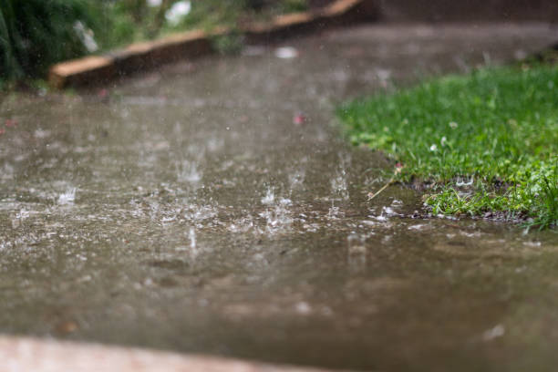 istock Rain puddles on asphalt at residential home 1402332225