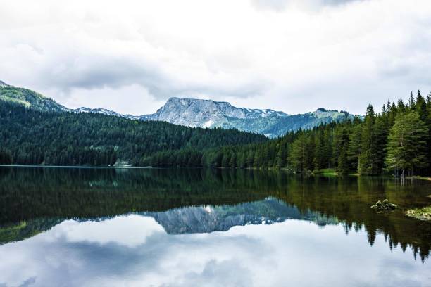 istock Mountain lake and evergreen coniferous forest, Durmitor, Montenegro. 1402333225
