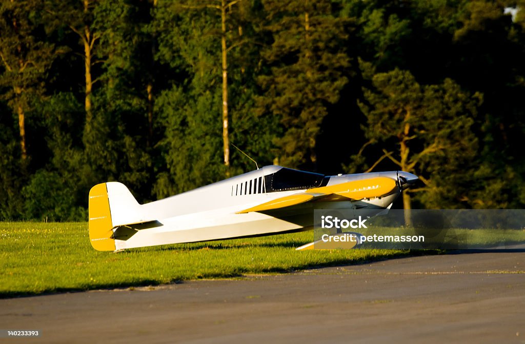 Racing-Flugzeug - Lizenzfrei Baum Stock-Foto