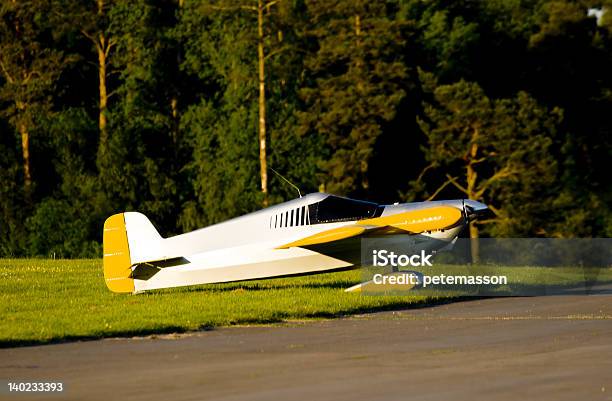 Racingflugzeug Stockfoto und mehr Bilder von Baum - Baum, Fliegen, Flugzeug