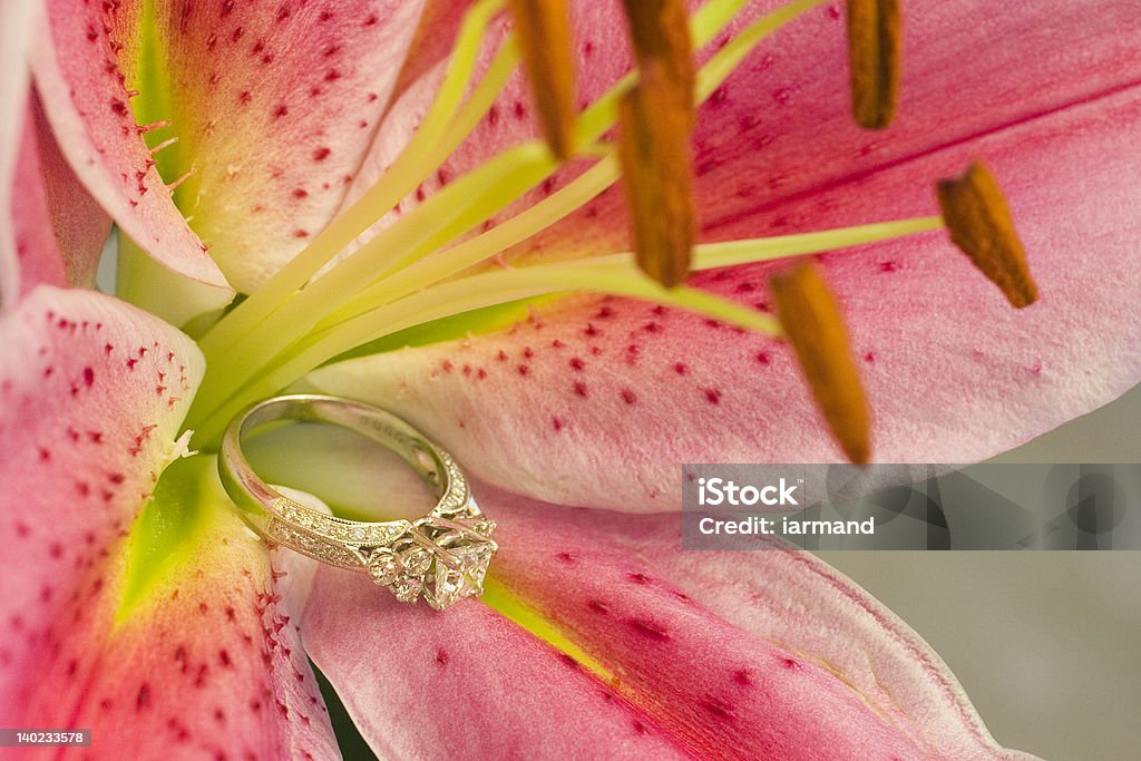 Lis étoilé asiatique () tenant une bague de fiançailles - Photo de Accord - Concepts libre de droits