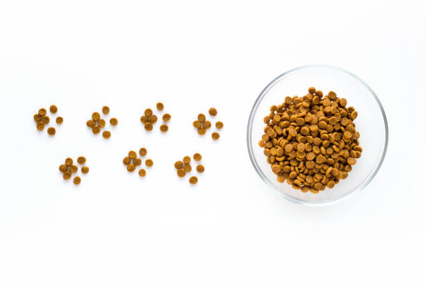 paw sign made of dry cat or dog food with full bowl. - food dry pets dog imagens e fotografias de stock