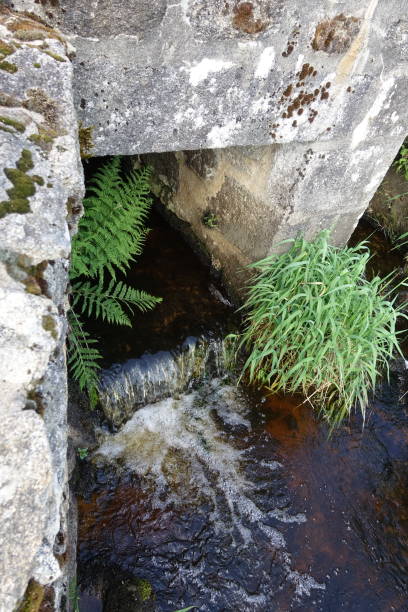 istock River La Gartempe White water not far from the source La Creuse France 1402338177