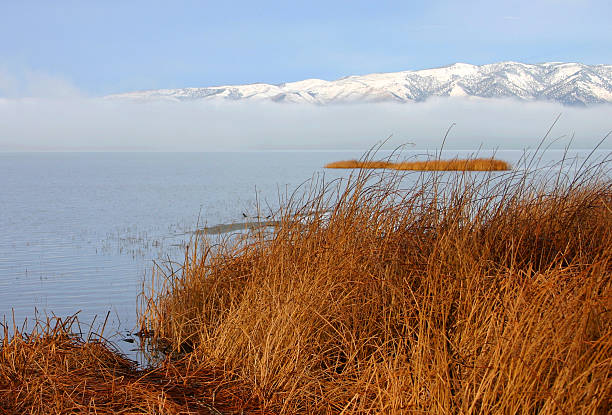 istock Cold winter morning near a lake 140234056