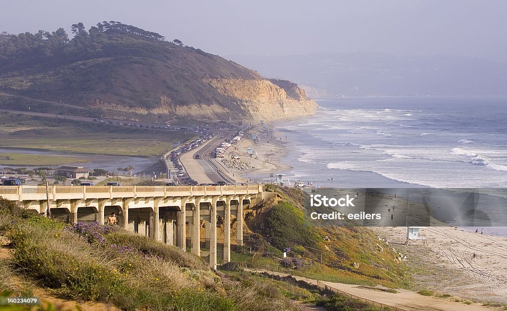 Parque Torrey Pines State - Foto de stock de Pino - Conífera libre de derechos