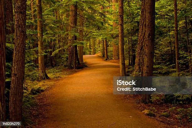 Weg Im Waldwald Stockfoto und mehr Bilder von Weg - Weg, Biegung, Wald
