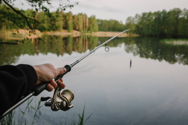 istock Fisherman with rod, spinning reel on the river bank. Man catching fish, pulling rod while fishing from lake or pond with text space. Fishing for pike, perch on beach lake or pond. Fishing day concept. 1402343746
