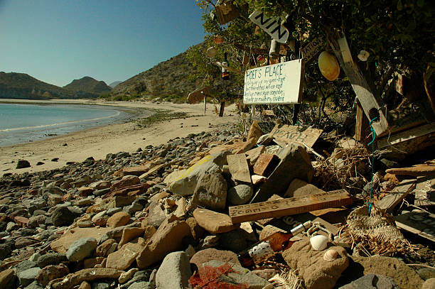 Beach Visitor Collection stock photo