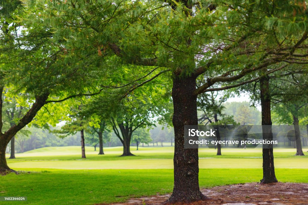 Neighborhood Park and Golf Course Following Rain - Midwest USA in Spring Weather and Seasons Photo Series Seasonal Backdrops in Spring in Midwest  USA Weather and Seasons Background Photo Series Natural Parkland Stock Photo