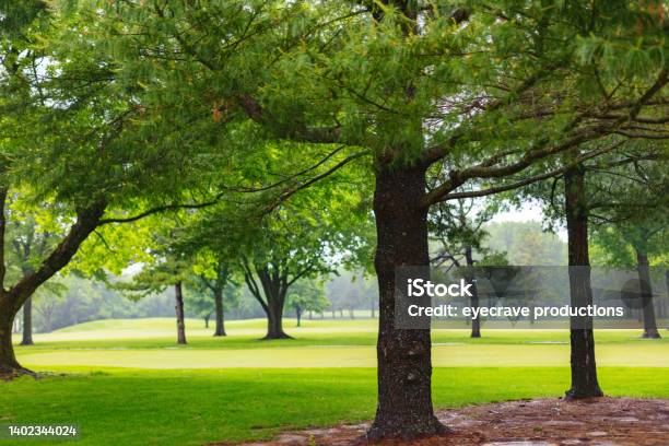 Neighborhood Park And Golf Course Following Rain Midwest Usa In Spring Weather And Seasons Photo Series Stock Photo - Download Image Now