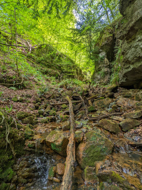 istock River Clydach flowing through a narrow, steep valley in South Wales (Cwm Clydach) 1402344148