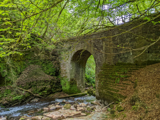 istock River Clydach flowing through a narrow, steep valley in South Wales (Cwm Clydach) 1402344174