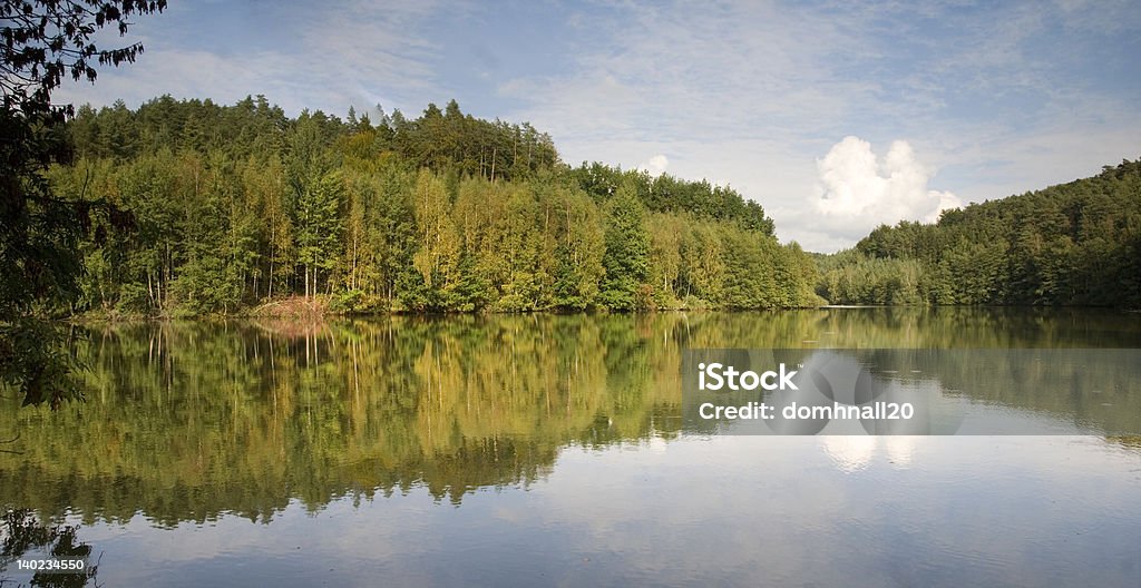 Árvores reflectido no lago - Royalty-free Abeto Foto de stock