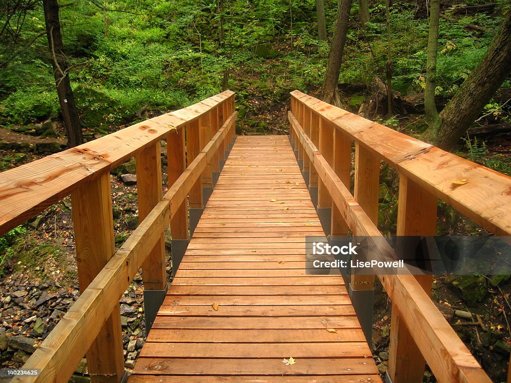 Cedar puente de - Foto de stock de Accesibilidad libre de derechos