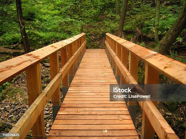 Cedar Puente De Foto de stock y más banco de imágenes de Accesibilidad - Accesibilidad, Aire libre, Baranda