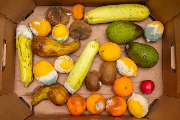Photo of Garbage fruits