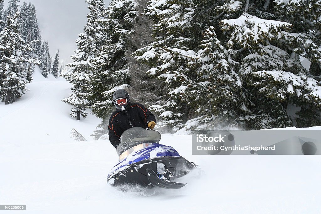 Desmoronamento de Snowmobile - Royalty-free Mota de neve Foto de stock