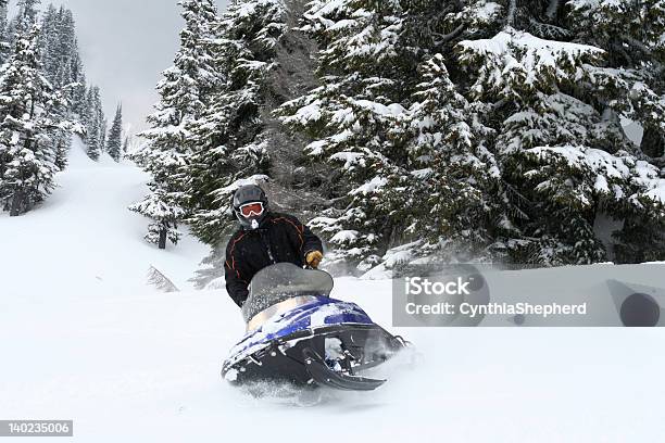 Desmoronamento De Snowmobile - Fotografias de stock e mais imagens de Mota de neve - Mota de neve, Estado de Washington, Moto de neve