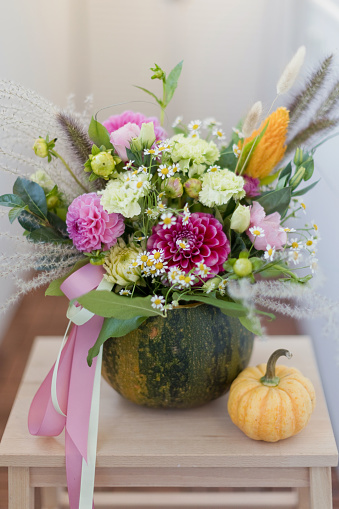 Fall autumn bouquet in pumpkin with bright flowers and ribbons on a wooden chair
