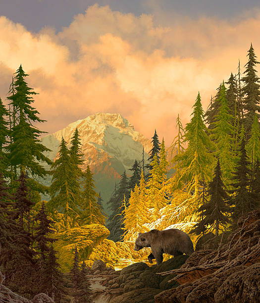 Grizzly Bear in the Rocky Mountains stock photo