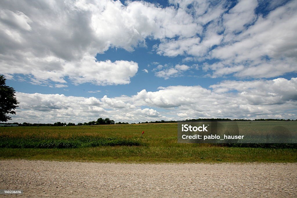 Terreno agricolo con nuvole verde intenso - Foto stock royalty-free di Agricoltura