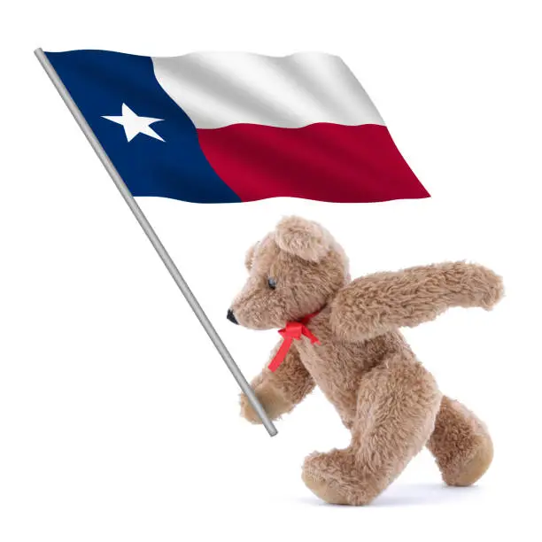 Photo of Texas flag being carried by a cute teddy bear