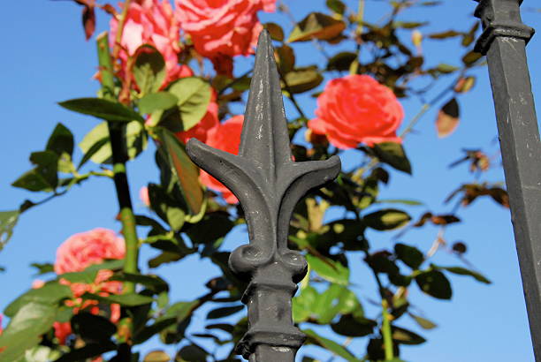 A wrought iron fence with gold spikes and a red roof in the background. The fence is tall and has a lot of spikes, giving it a strong and imposing appearance. The red roof adds a touch of warmth