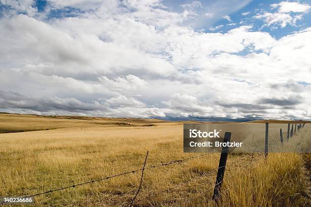 Campo Abierto Foto de stock y más banco de imágenes de Abierto - Abierto, Abrir, Agricultura