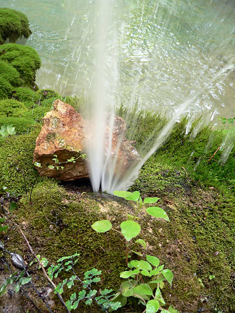 Água mineral - foto de acervo