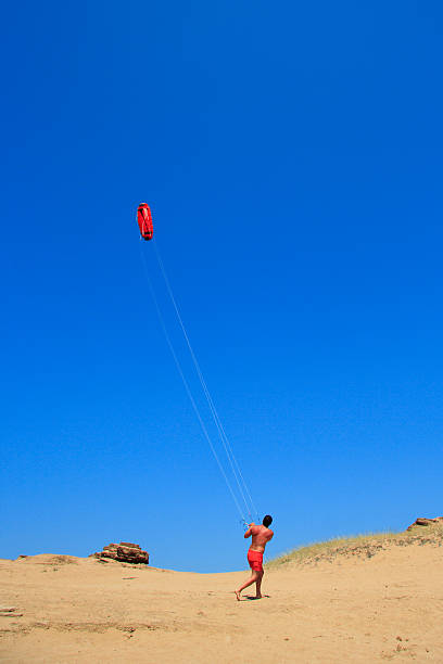 istock Person flying a kite at the beach 140236982