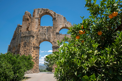 Aqueducts with orange trees in the ancient city of Aspendos in Antalya, Turkey