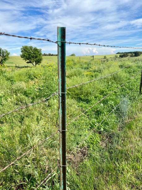 istock Rustic rural life green fence post with barbed wire 1402372721