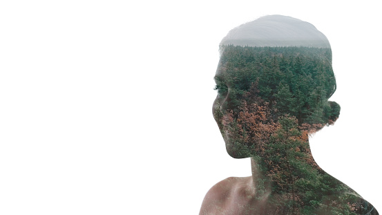 Nature harmony. Ecology vitality. Double exposure silhouette of relaxed happy woman face with aerial view forest trees landscape isolated on white copy space.