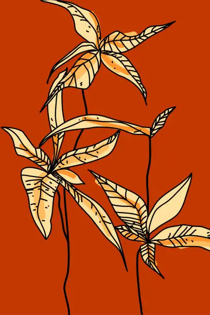 Vector illustration of Minimalist botanical illustration. Plant with light yellow leaves on bright red background and with black outline. Good for postcard, poster, banner or cover design.