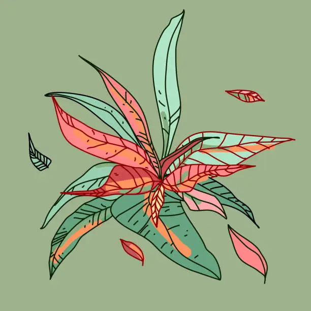 Vector illustration of Minimalist botanical illustration.  Group of tropical leaves in different colours on green background and different outlines. Tropical bush, simple and cute illustration.