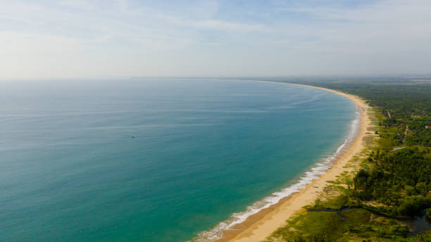 istock Tropical beach with palm trees. Sri Lanka. 1402384096
